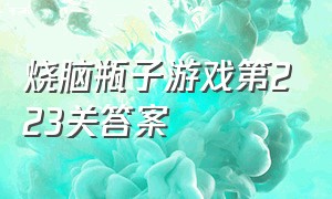 烧脑瓶子游戏第223关答案