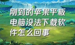 刚到的苹果平板电脑没法下载软件怎么回事