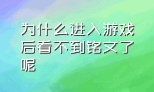 为什么进入游戏后看不到铭文了呢