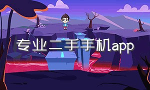 专业二手手机app