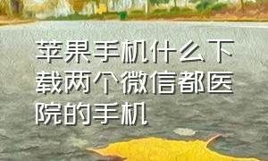 苹果手机什么下载两个微信都医院的手机