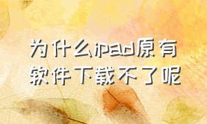 为什么ipad原有软件下载不了呢