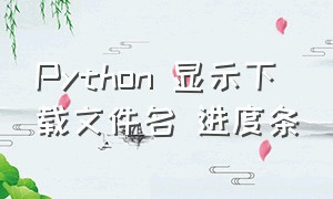 Python 显示下载文件名 进度条