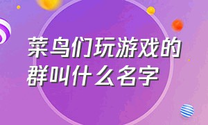 菜鸟们玩游戏的群叫什么名字