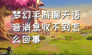 梦幻手游聊天语音消息收不到怎么回事