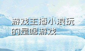 游戏主播小浪玩的是啥游戏