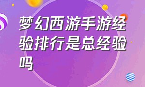 梦幻西游手游经验排行是总经验吗