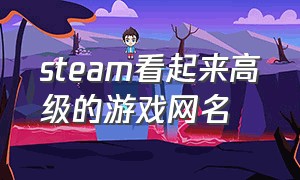 steam看起来高级的游戏网名