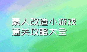 素人改造小游戏通关攻略大全