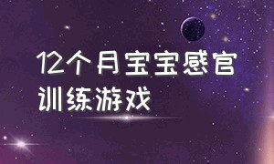 12个月宝宝感官训练游戏