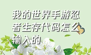 我的世界手游忍者生存代码怎么输入的