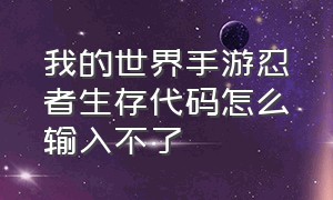 我的世界手游忍者生存代码怎么输入不了