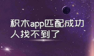 积木app匹配成功人找不到了