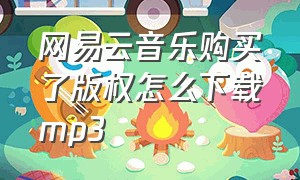 网易云音乐购买了版权怎么下载mp3