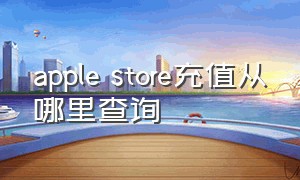 apple store充值从哪里查询