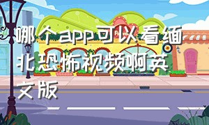 哪个app可以看缅北恐怖视频啊英文版