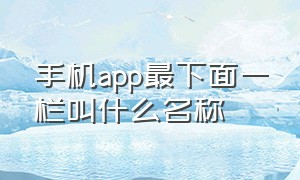 手机app最下面一栏叫什么名称