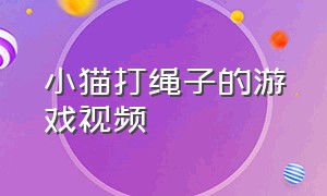 小猫打绳子的游戏视频