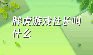 胖虎游戏社长叫什么