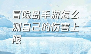 冒险岛手游怎么测自己的伤害上限