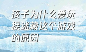 孩子为什么爱玩捉迷藏这个游戏的原因