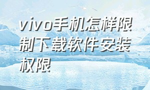 vivo手机怎样限制下载软件安装权限