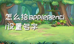 怎么给applepencil设置名字