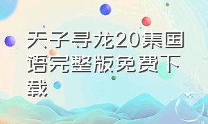 天子寻龙20集国语完整版免费下载