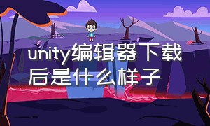 unity编辑器下载后是什么样子