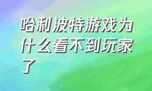 哈利波特游戏为什么看不到玩家了