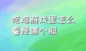 吃鸡游戏里怎么看是哪个服