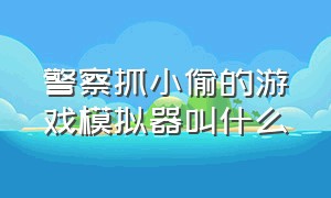 警察抓小偷的游戏模拟器叫什么