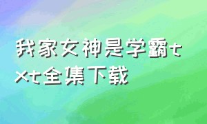 我家女神是学霸txt全集下载