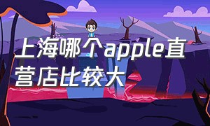 上海哪个apple直营店比较大
