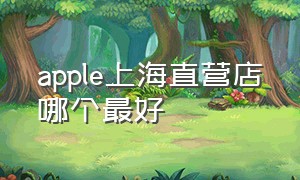 apple上海直营店哪个最好