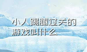 小人踢腿过关的游戏叫什么