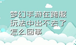 梦幻手游在跨服玩法中出不去了怎么回事