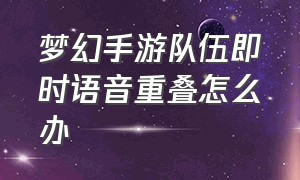 梦幻手游队伍即时语音重叠怎么办