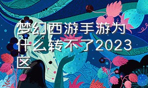 梦幻西游手游为什么转不了2023区