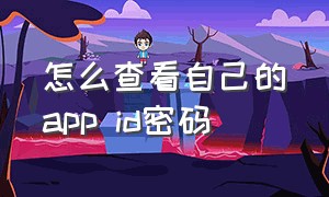 怎么查看自己的app id密码