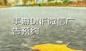 手游DNF微信广告预约