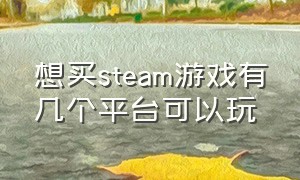 想买steam游戏有几个平台可以玩