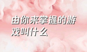 由你来掌握的游戏叫什么