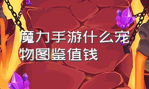 魔力手游什么宠物图鉴值钱