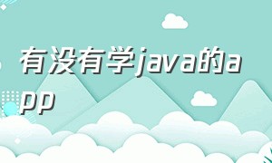 有没有学java的app