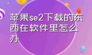 苹果se2下载的东西在软件里怎么办