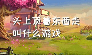 头上顶着东西走叫什么游戏