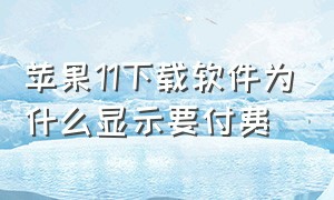 苹果11下载软件为什么显示要付费