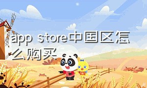 app store中国区怎么购买