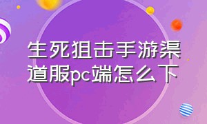 生死狙击手游渠道服pc端怎么下